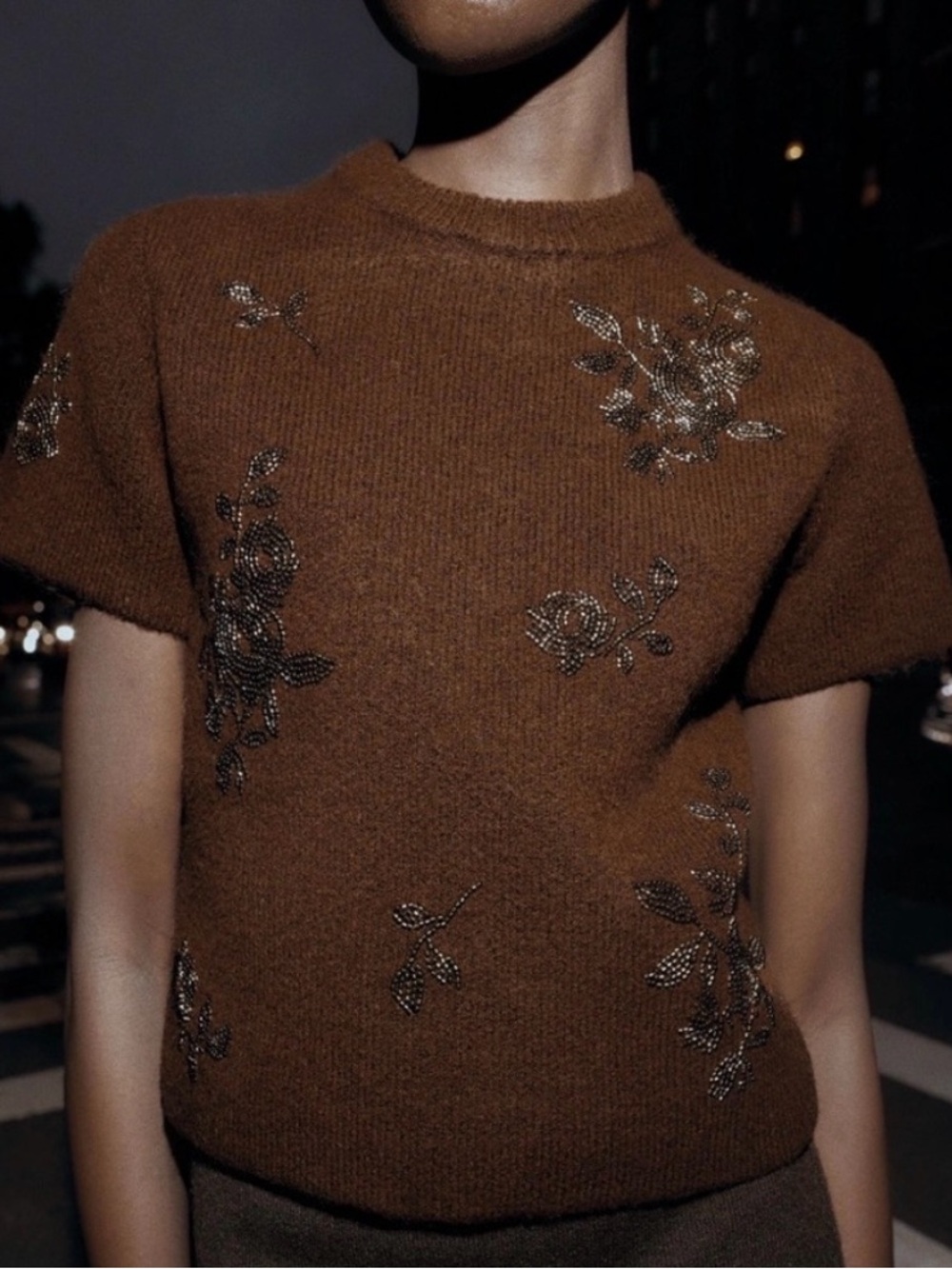 Zara Brown Beaded sweater